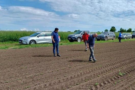 Landwirte besichtigen Soja auf Versuchsfeld