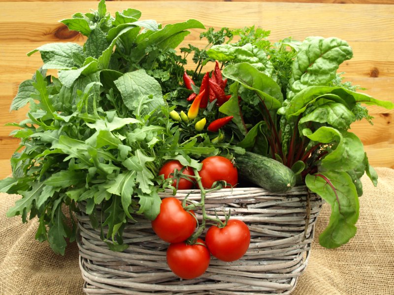 ein Korb voll Kräuter, Salat und Tomaten
