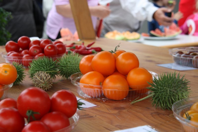 verschiedene Tomatensorten