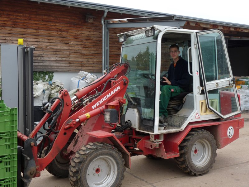 Azubi mit Stapler beim Kisteentransport für die Ernte von Äpfeln