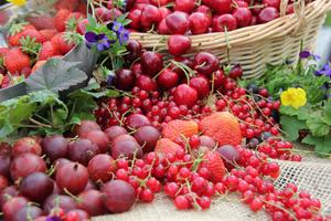 Nahaufnahme verschiedener nebeneinander arrangierter roter Früchte, wie Erdberren, Kirschen, Johannisbeeren oder Stachelbeeren