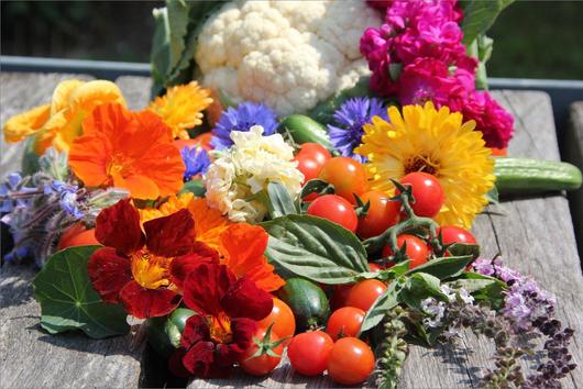 Produktmischung mit Zierpflanzen, Obst und Gemüse
