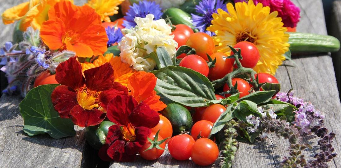 Produktmischung mit Zierpflanzen, Obst und Gemüse