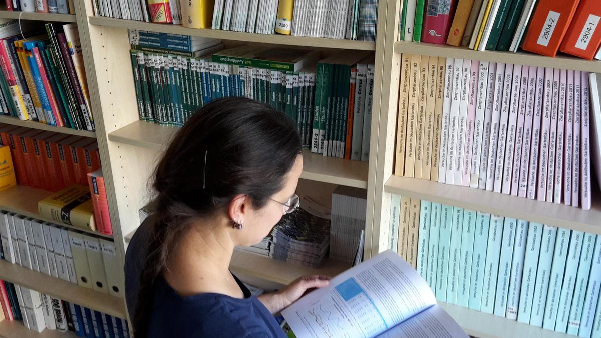 Eine Frau liest ein Buch vor einem Regal