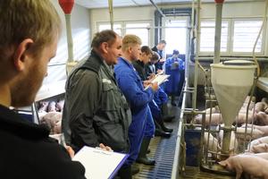 Azubis im Schweinestall vor Tieren mit Schreibutensilien