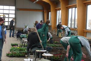Gartenbauazubis in der Ausbildungshalle beim Pflanzen