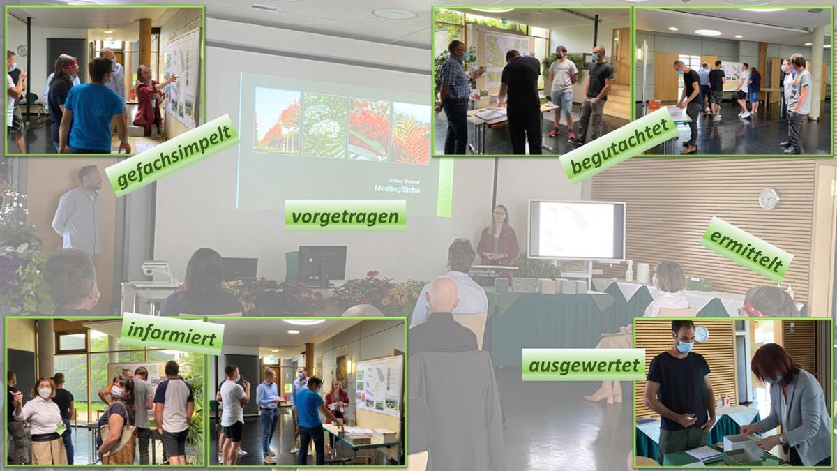 Collage: Bilder von Begutachtung der Projektentwürfe