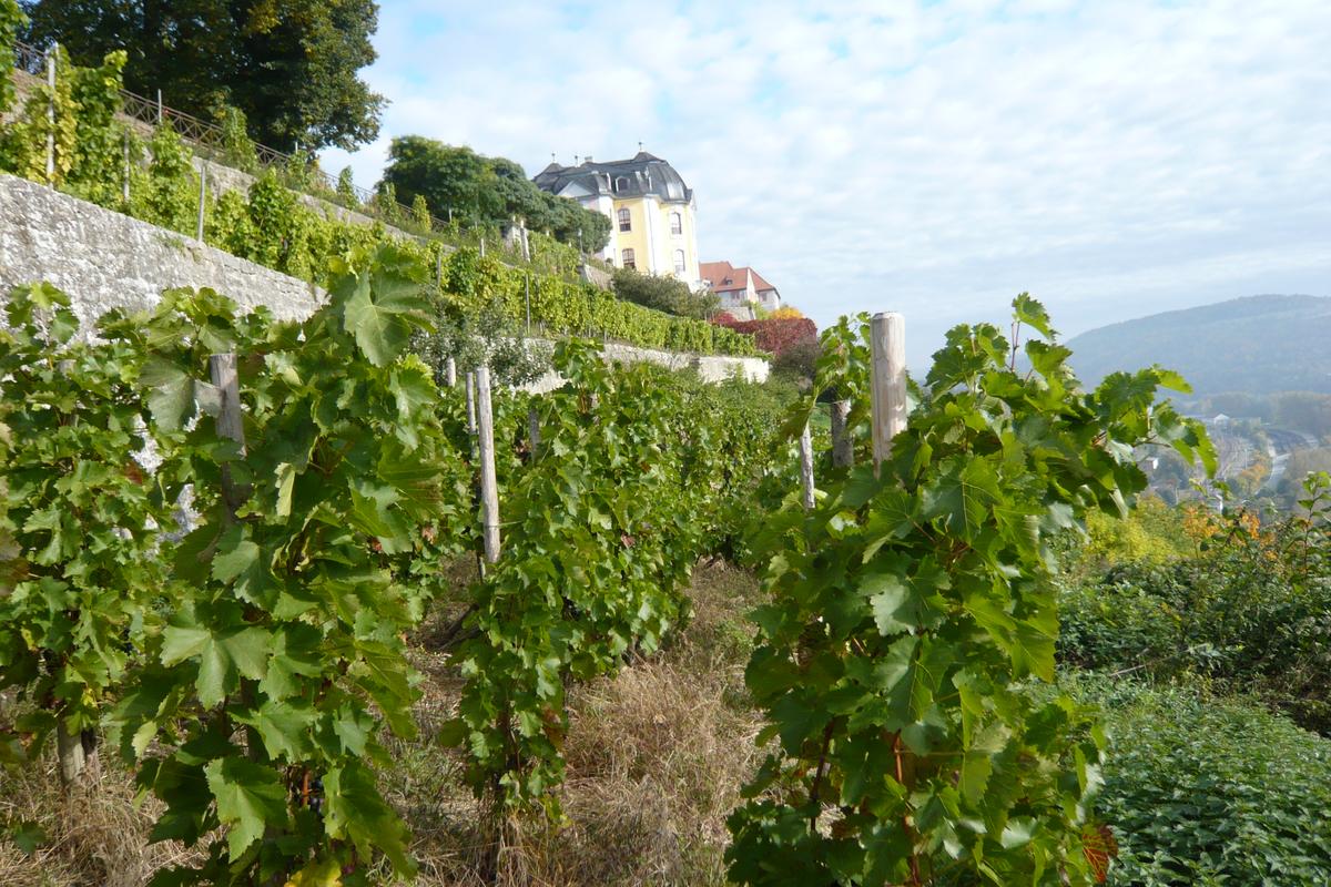 Dornburg